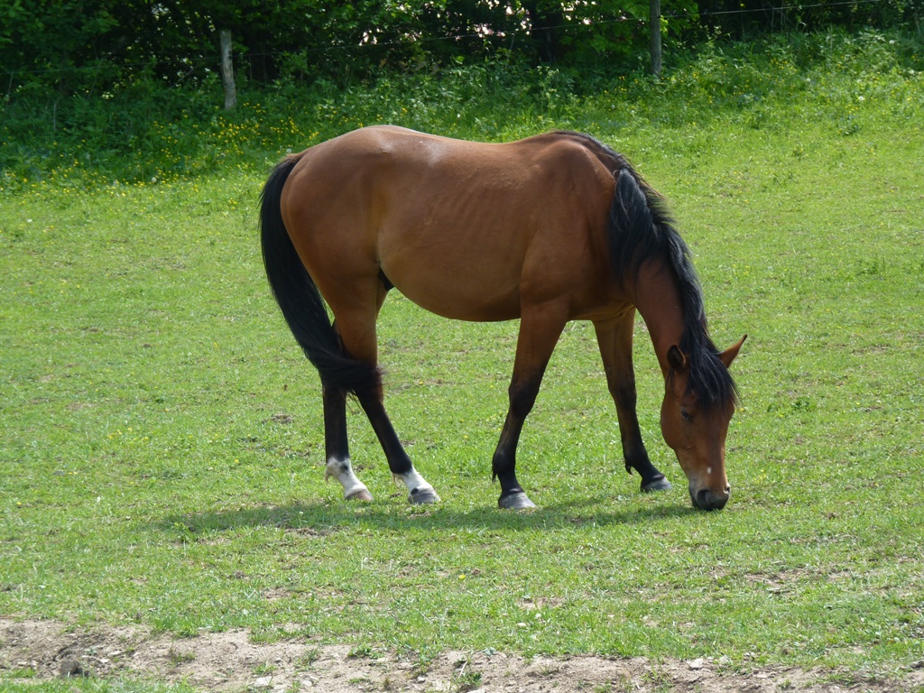 Klsny a valaši016 082