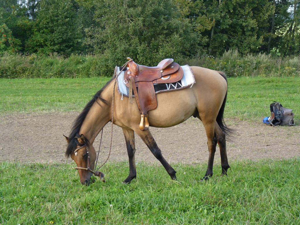 Focení srpen valaši 057