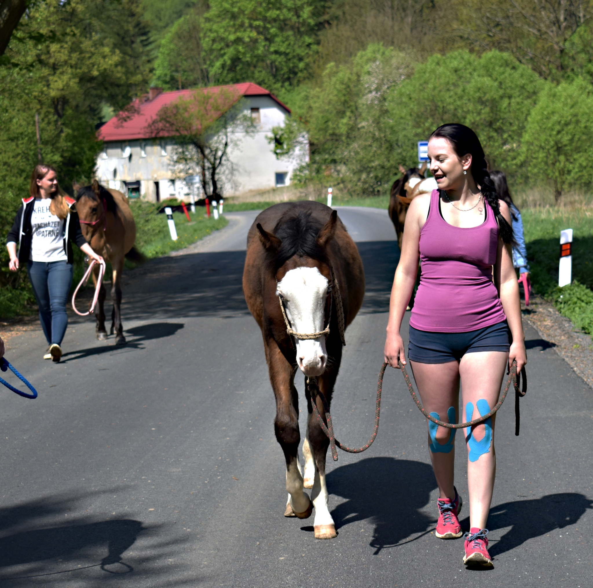 Pampeliškový den 087