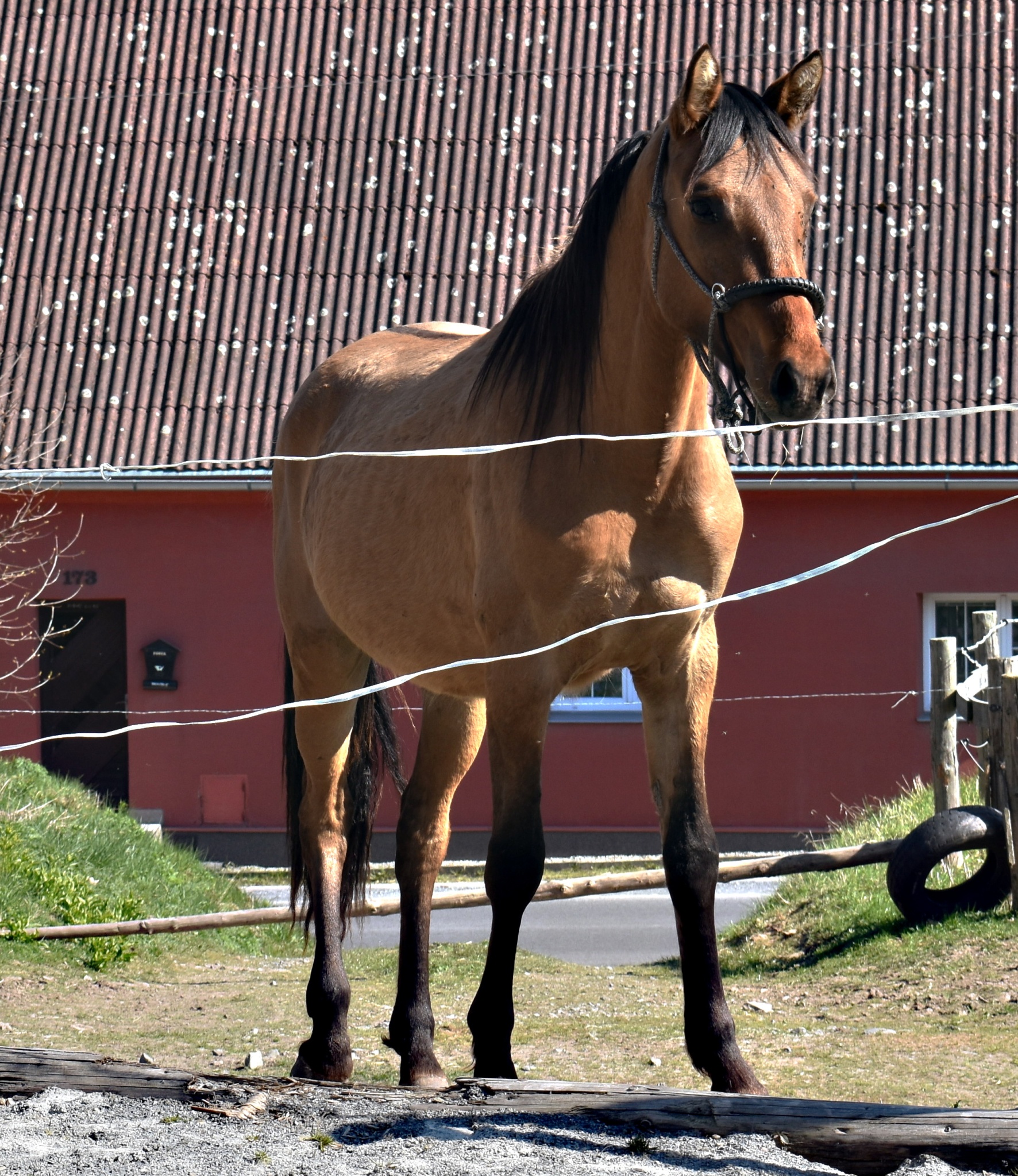 Jezdecký kroužek duben 2019 043