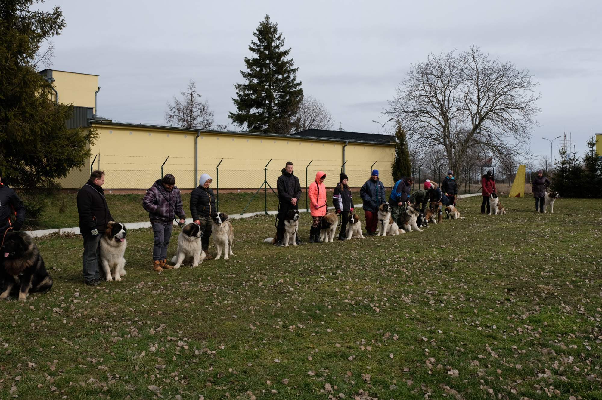 Moskeváci nástup