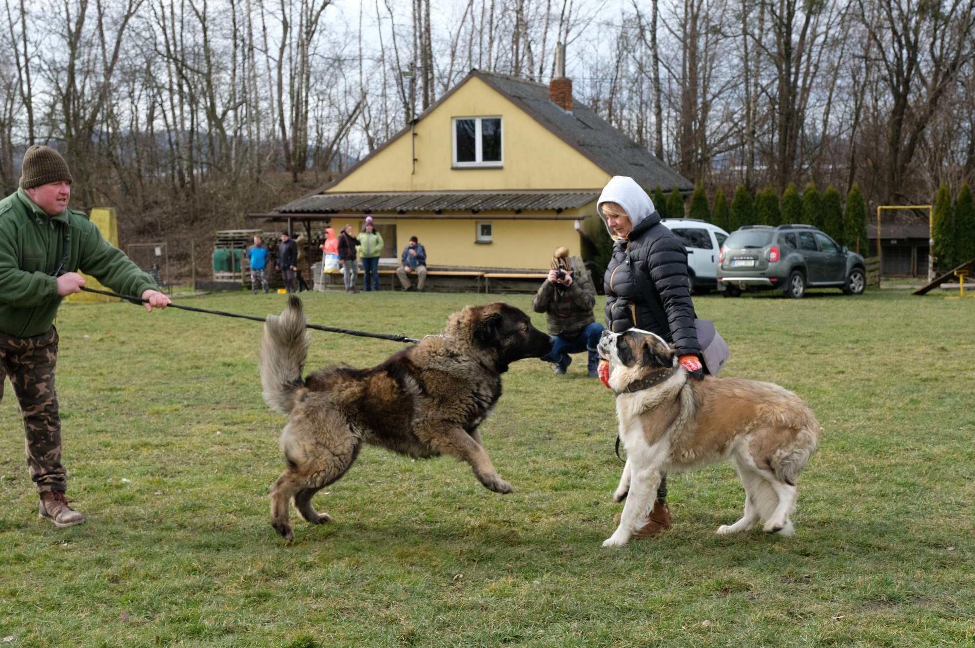 J8,Azi a kavkazák