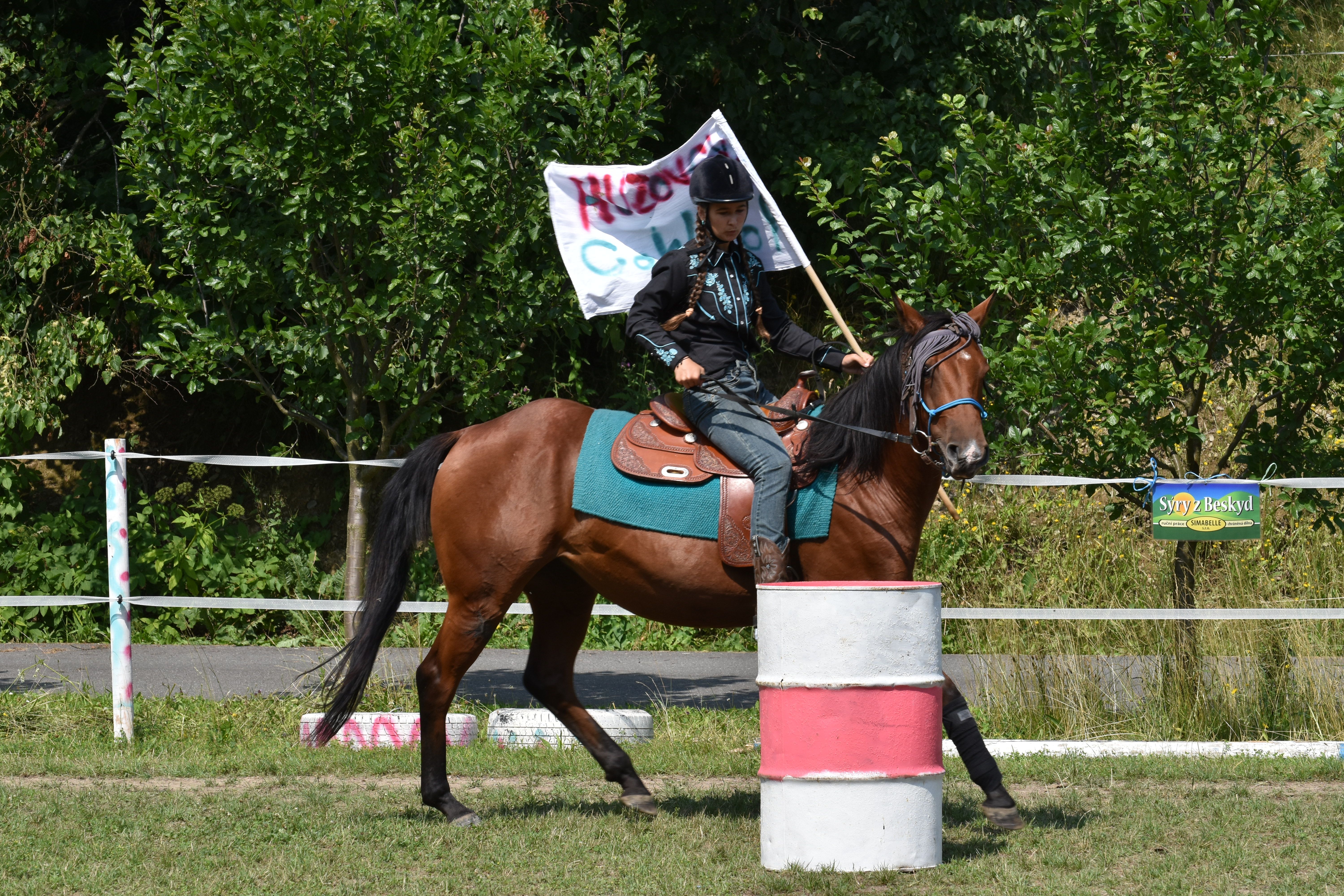 DSC_0313