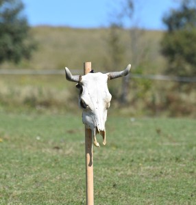 dsc_0012.jpg